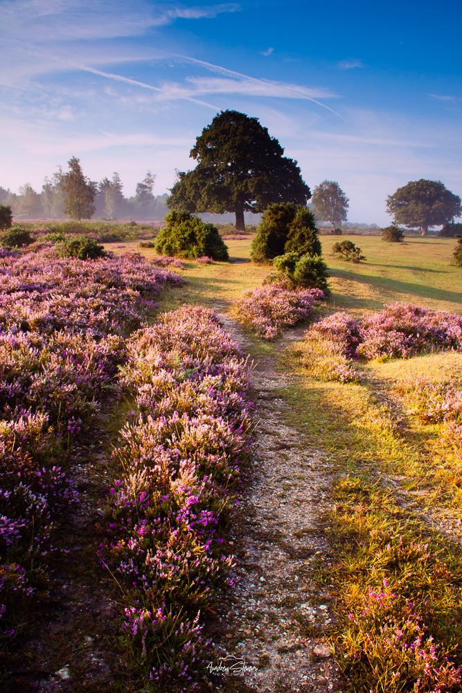 Heather & Oak